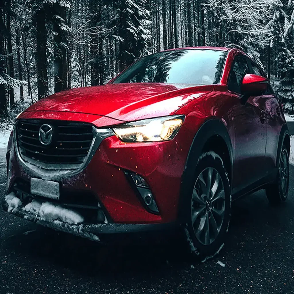 Winter Detailing Frequency in Ottawa