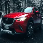 Winter Detailing Frequency in Ottawa